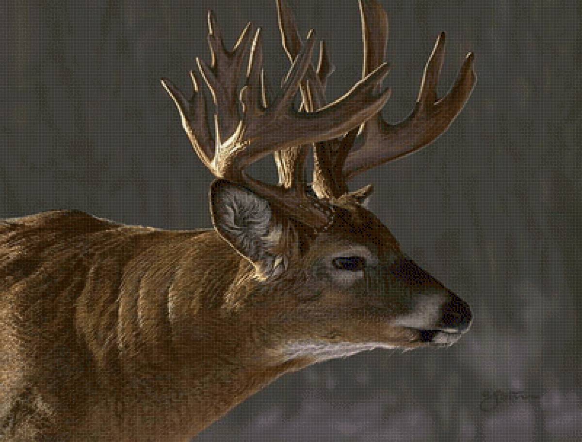 №2530509 - предпросмотр