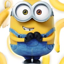 Схема вышивки «Миньён»