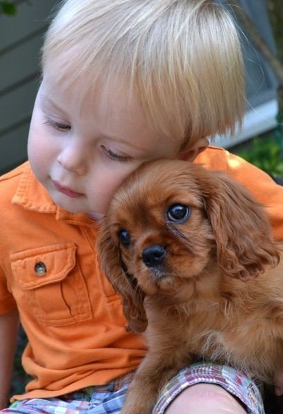 Малыш с собакой - дети, животные - оригинал