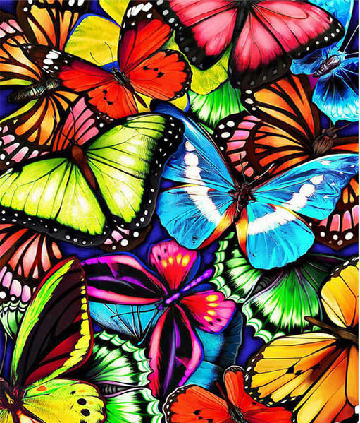 Бабочки - бабочки - оригинал