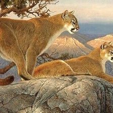 Схема вышивки «№2530955»