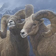 Схема вышивки «№2531171»