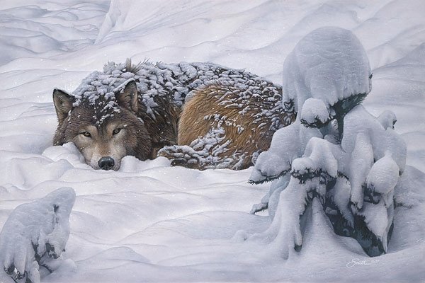 №2531187 - оригинал