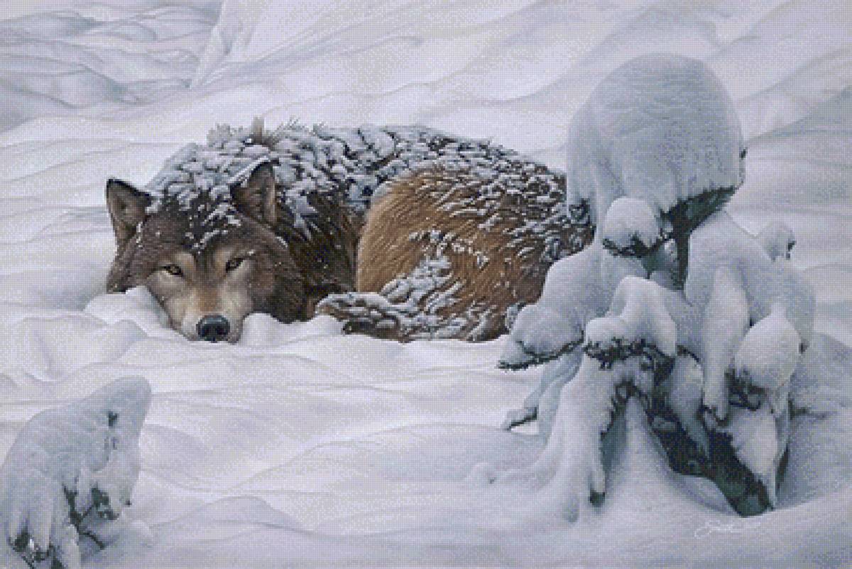 №2531187 - предпросмотр