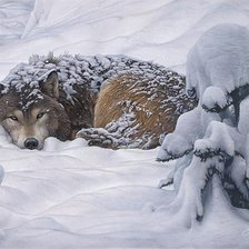 Схема вышивки «№2531187»