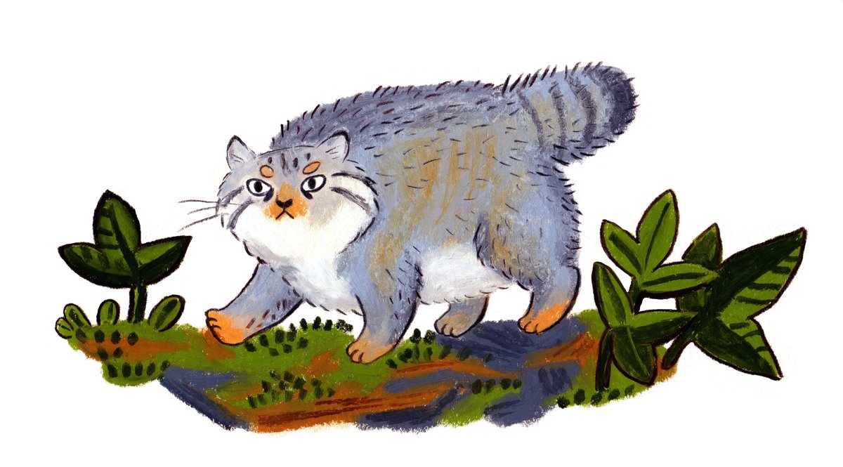 Кот - оригинал