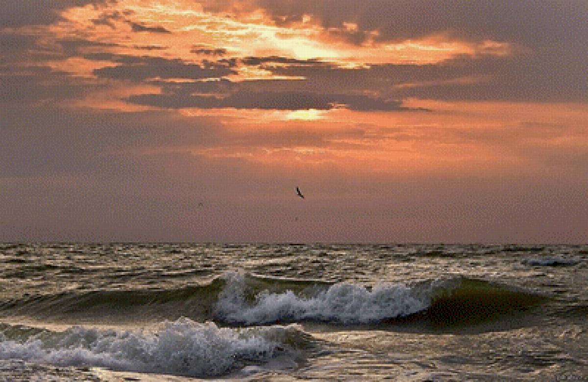 Море - море, чайки, прибой - предпросмотр