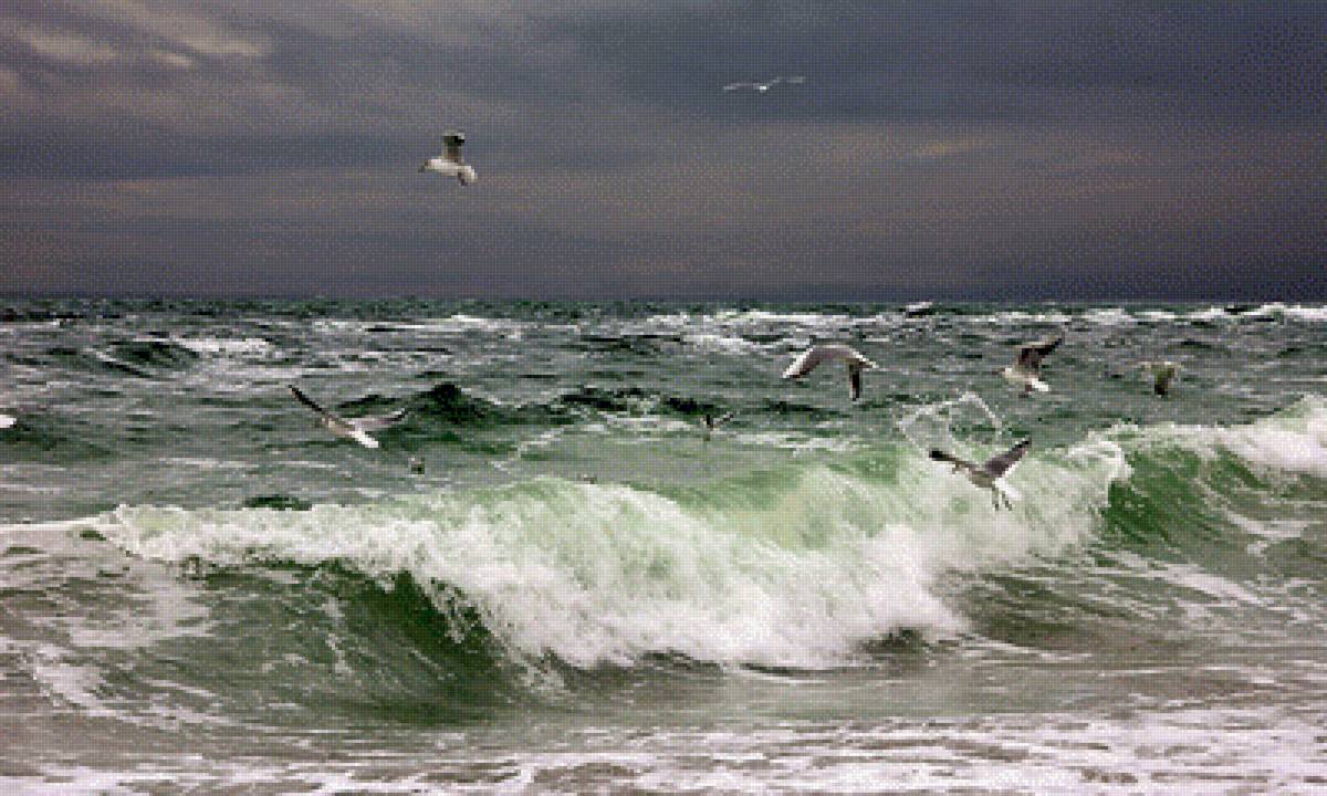 Не спокойно синее море - чайки, море, прибой - предпросмотр