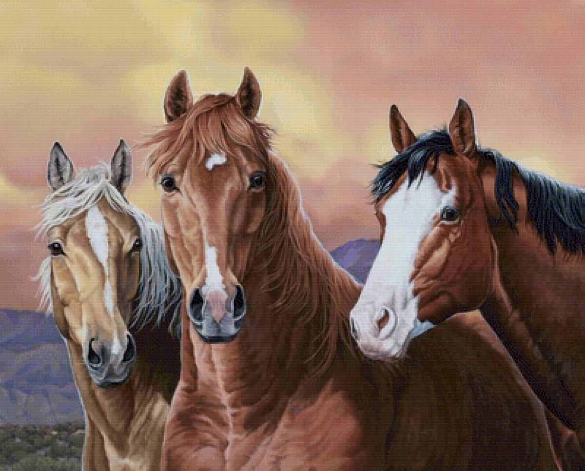 №2531673 - предпросмотр