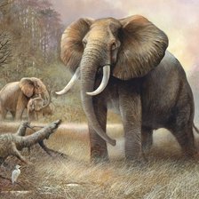 Схема вышивки «№2531681»