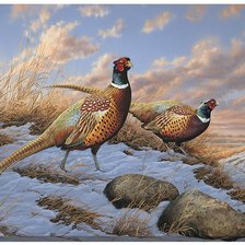 Оригинал схемы вышивки «№2531810»