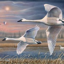 Схема вышивки «№2531832»