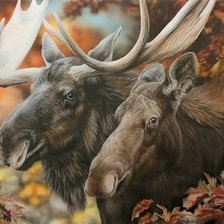 Схема вышивки «№2531833»