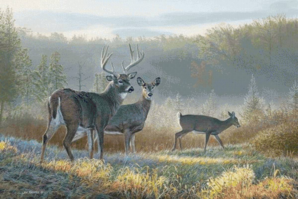 №2531859 - предпросмотр