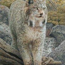 Схема вышивки «№2531877»