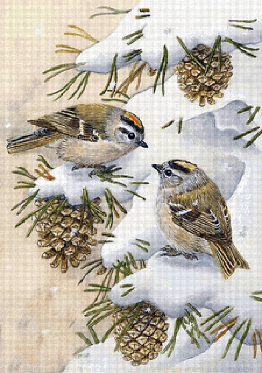 №2531905 - зима, воробьи, птицы - предпросмотр