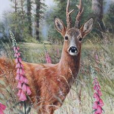 Схема вышивки «№2531987»