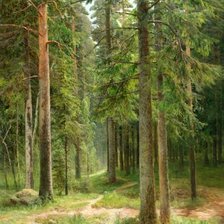 Схема вышивки «лесные красоты»