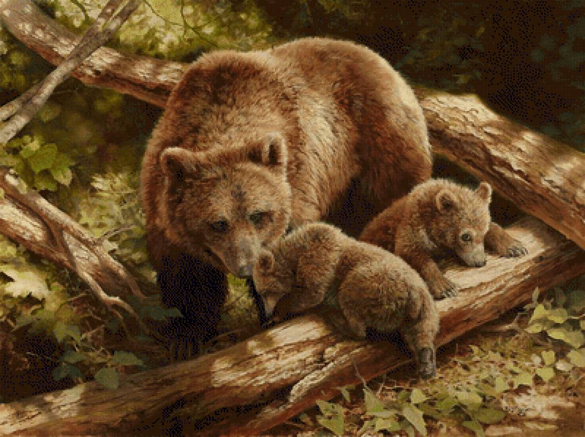 №2532213 - предпросмотр