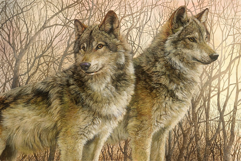 №2532214 - оригинал