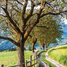 Схема вышивки «camino»