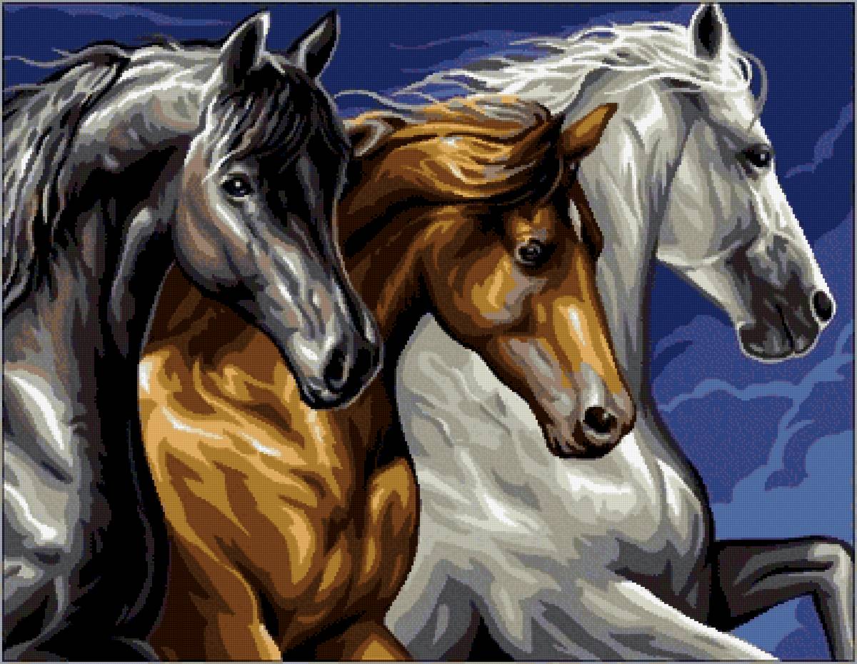 Тройка лошадей - белый, лошади, тройка, черный, коричневый - предпросмотр