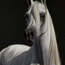 Схема вышивки «№2533372»