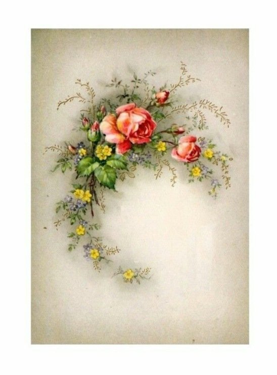 flori - flori - оригинал