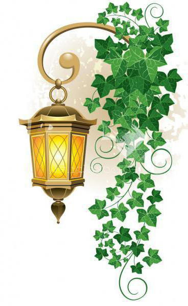 фонарь с плющем - оригинал