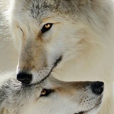 Схема вышивки «№2533824»