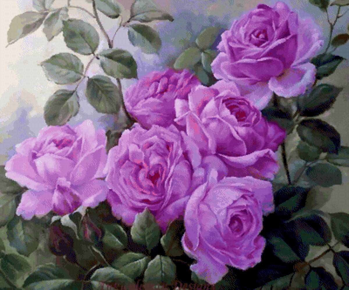 Розы - розы - предпросмотр