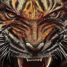 Схема вышивки «Тигр»