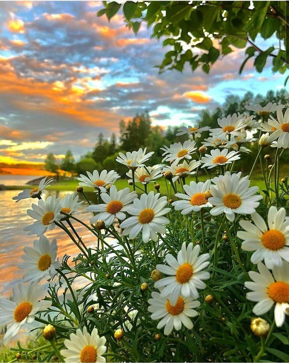 №2534069 - оригинал