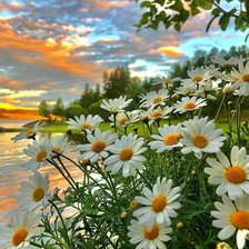 Схема вышивки «№2534069»