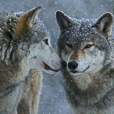 Схема вышивки «№2534384»