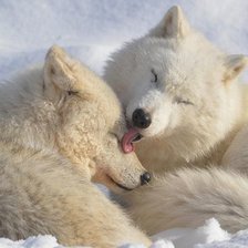 Схема вышивки «№2534385»