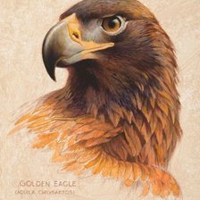 Схема вышивки «№2534715»