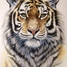 Схема вышивки «№2534721»