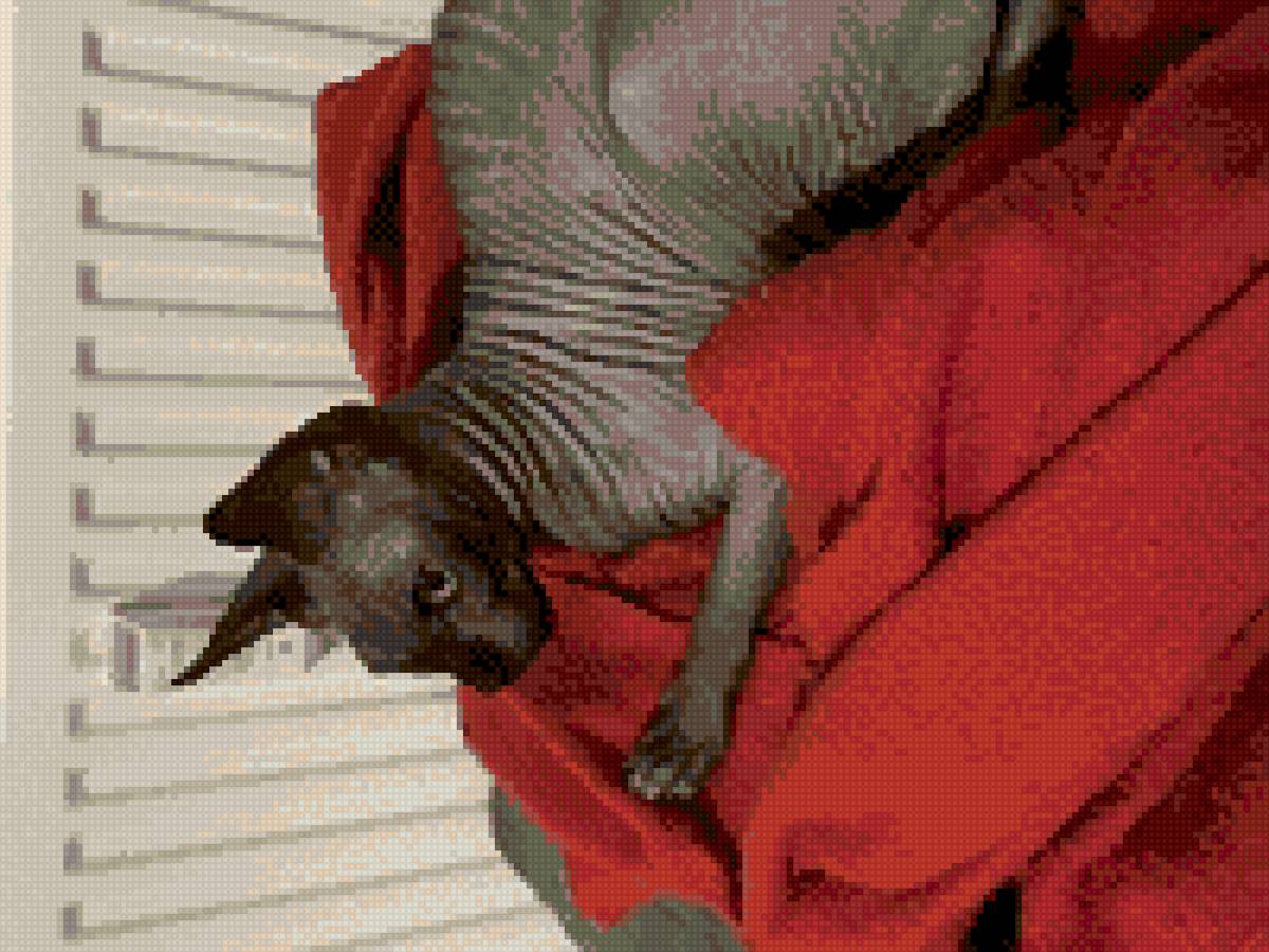 Сисиль - сфинкс - предпросмотр