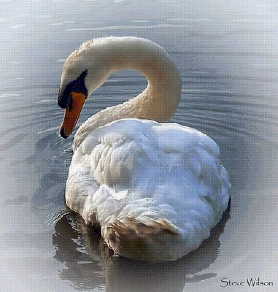 №2535081 - предпросмотр