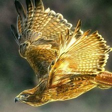 Схема вышивки «№2535142»