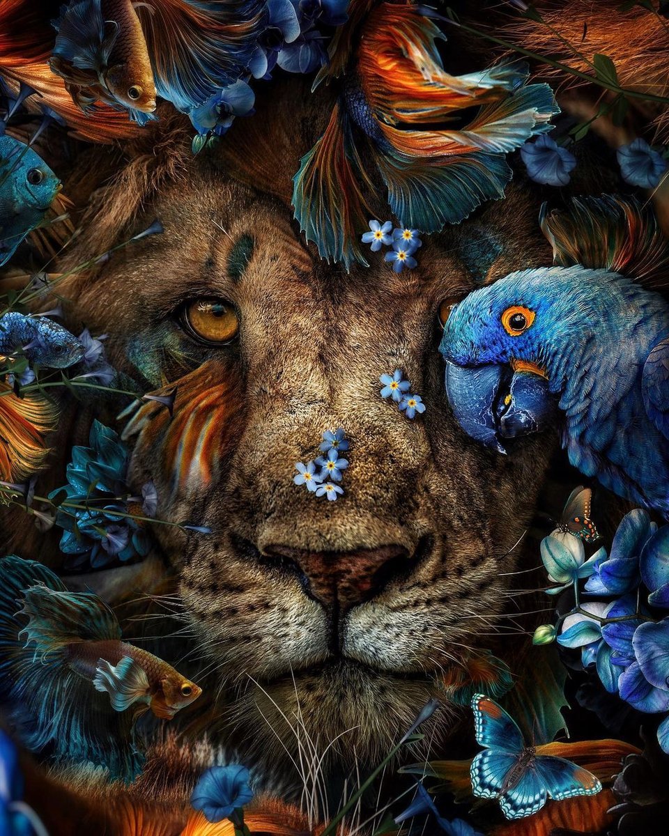 Лев - лев - оригинал