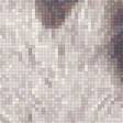 Предпросмотр схемы вышивки «Волк» (№2535204)