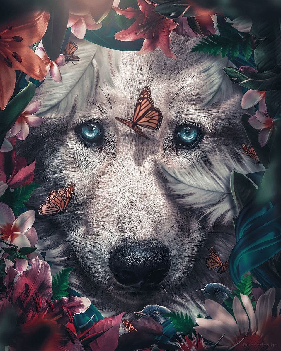 Волк - волк - оригинал