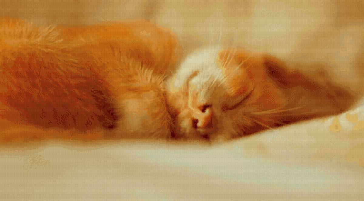 Рыжий спящий котёнок - рыжий, котенок, спящий - предпросмотр