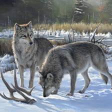 Схема вышивки «№2535243»