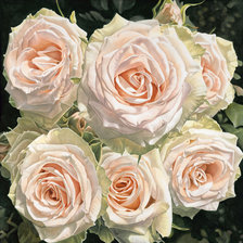 Схема вышивки «№2535245»