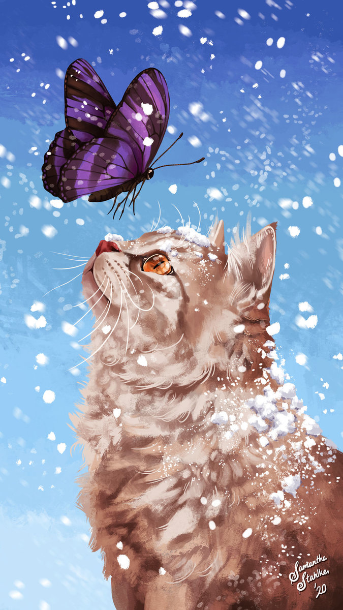 Котик и бабочка - кот, бабочка - оригинал