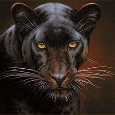 Схема вышивки «№2535278»