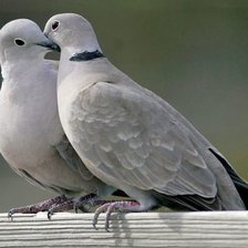 Схема вышивки «№2535717»